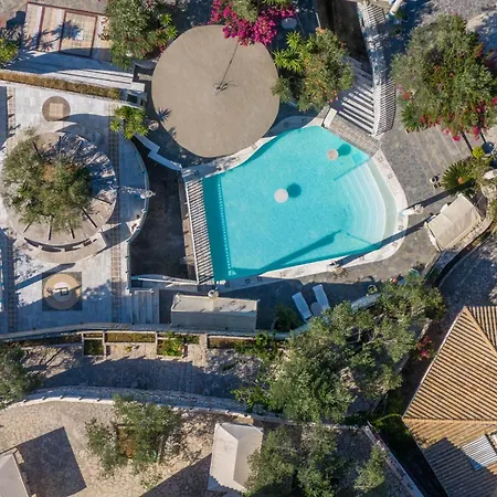 Paco's Standard 3 Oziás